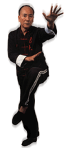 Mestre Chan